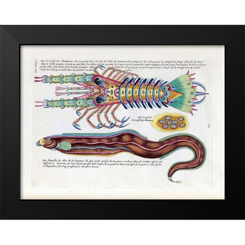 Ecrevisses des Montagnes Black Modern Wood Framed Art Print by Renard, Louis