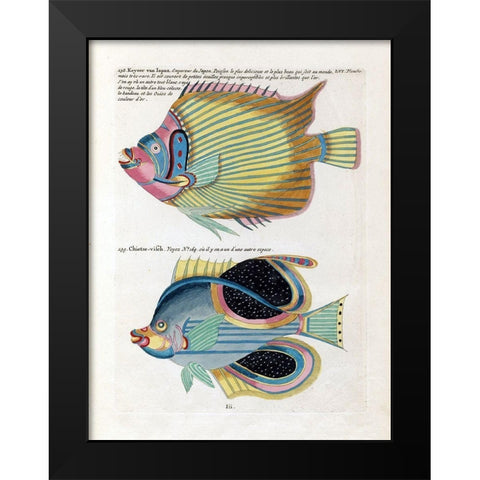Keyser van Japan Black Modern Wood Framed Art Print by Renard, Louis