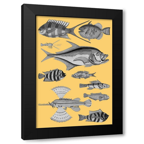 Tropical Fish Collage 2-Yellow Background Black Modern Wood Framed Art Print by Renard, Louis