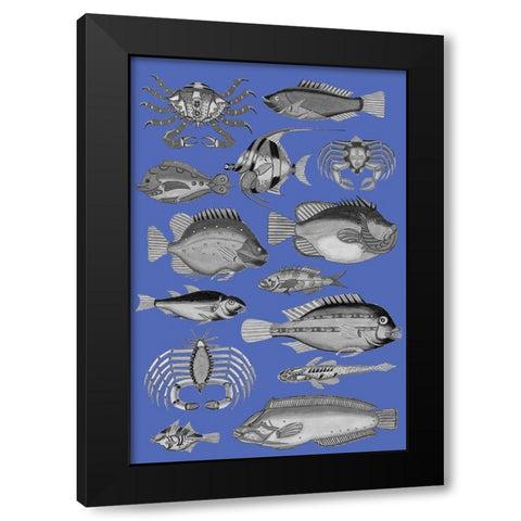 Tropical Fish Collage 3-Blue Background Black Modern Wood Framed Art Print with Double Matting by Renard, Louis