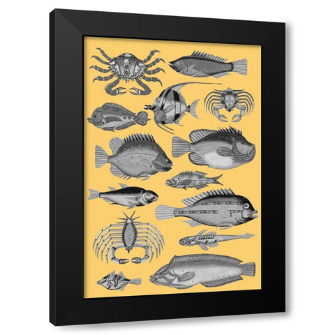 Tropical Fish Collage 3-Yellow Background Black Modern Wood Framed Art Print with Double Matting by Renard, Louis