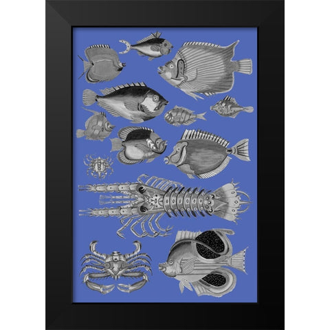 Tropical Fish Collage 4-Blue Background Black Modern Wood Framed Art Print by Renard, Louis