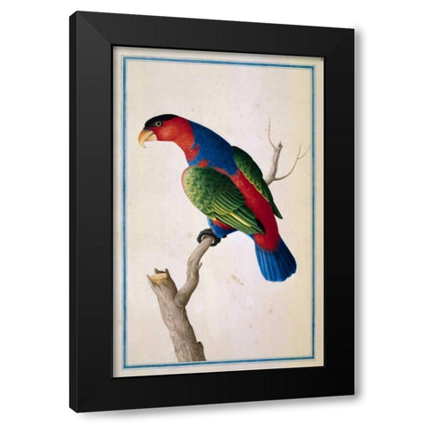 Lory, Left facing Black Modern Wood Framed Art Print with Double Matting by De Bevere, Pieter