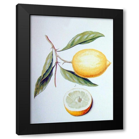 Citron Black Modern Wood Framed Art Print by Ledoulx, Pierre