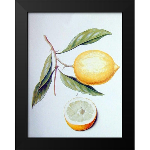 Citron Black Modern Wood Framed Art Print by Ledoulx, Pierre