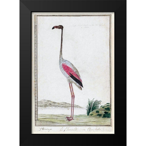 Flamingo Black Modern Wood Framed Art Print by Gordon, Robert James
