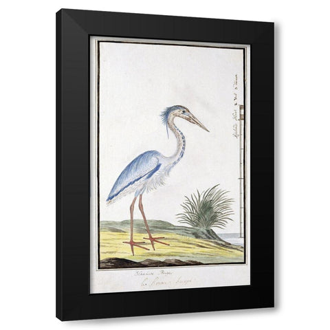 Heron Black Modern Wood Framed Art Print with Double Matting by Gordon, Robert James