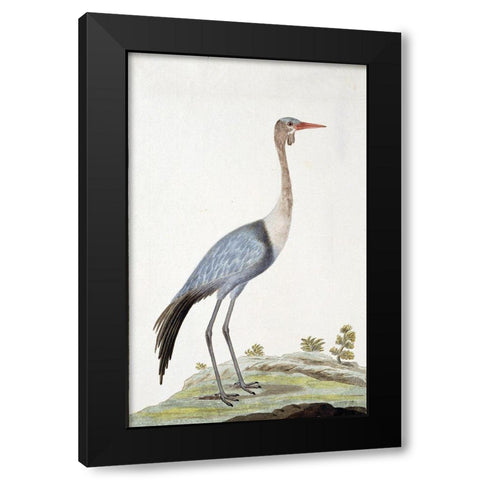 Crane Black Modern Wood Framed Art Print with Double Matting by Gordon, Robert James