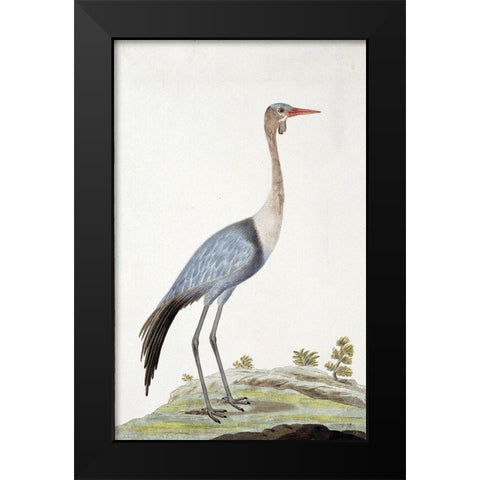 Crane Black Modern Wood Framed Art Print by Gordon, Robert James