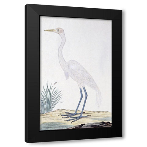 Egret Black Modern Wood Framed Art Print with Double Matting by Gordon, Robert James