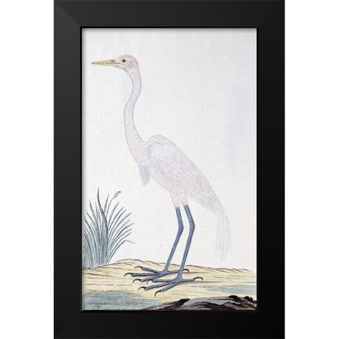 Egret Black Modern Wood Framed Art Print by Gordon, Robert James
