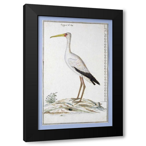 Stork Black Modern Wood Framed Art Print with Double Matting by Gordon, Robert J.