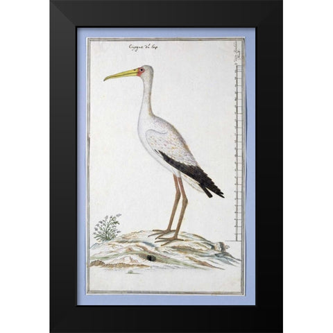 Stork Black Modern Wood Framed Art Print by Gordon, Robert J.