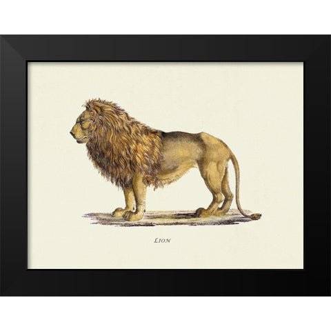 Lion Black Modern Wood Framed Art Print by Schinz, Heinrich Rudolf