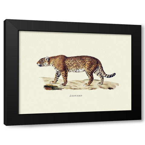 Leopard Black Modern Wood Framed Art Print by Schinz, Heinrich Rudolf