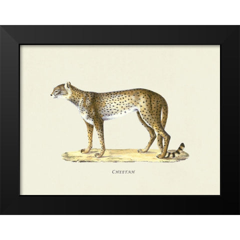 Cheetah Black Modern Wood Framed Art Print by Schinz, Heinrich Rudolf