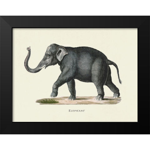 Elephant Black Modern Wood Framed Art Print by Schinz, Heinrich Rudolf