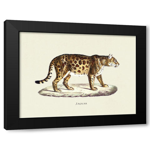 Jaguar Black Modern Wood Framed Art Print with Double Matting by Schinz, Heinrich Rudolf
