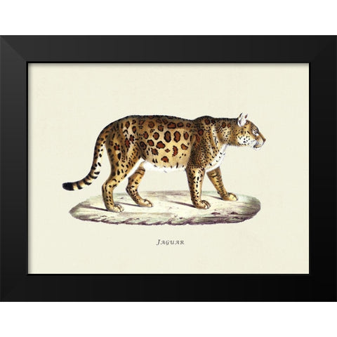 Jaguar Black Modern Wood Framed Art Print by Schinz, Heinrich Rudolf