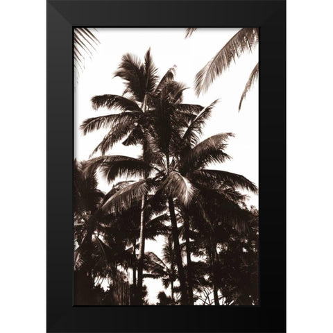 Coconut Palm, Bali Black Modern Wood Framed Art Print by Blue, Cyril