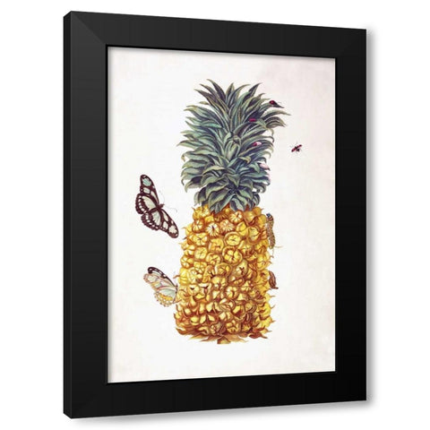Pineapple, Butterflies, plate 11 Black Modern Wood Framed Art Print with Double Matting by Merian, Sybilla