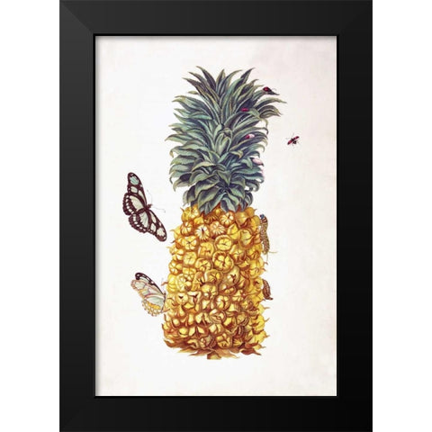 Pineapple, Butterflies, plate 11 Black Modern Wood Framed Art Print by Merian, Sybilla