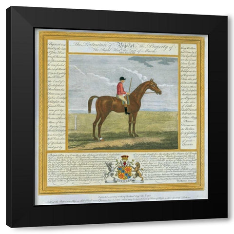 Portrait and Pedigree, Bajazet Black Modern Wood Framed Art Print with Double Matting by Spencer, Thomas