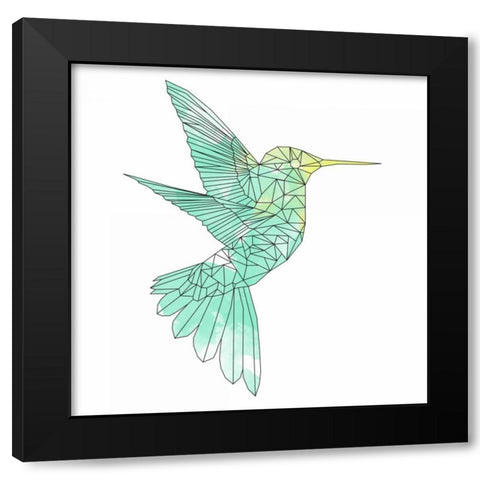 Geographic Hummingbird Black Modern Wood Framed Art Print with Double Matting by Atelier B Art Studio