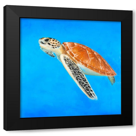 Sea Turtle Black Modern Wood Framed Art Print with Double Matting by Atelier B Art Studio