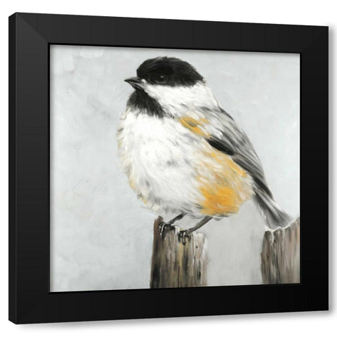 Coal Tit Bird Black Modern Wood Framed Art Print with Double Matting by Atelier B Art Studio