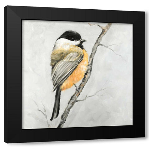 Small Coal Tit Black Modern Wood Framed Art Print with Double Matting by Atelier B Art Studio