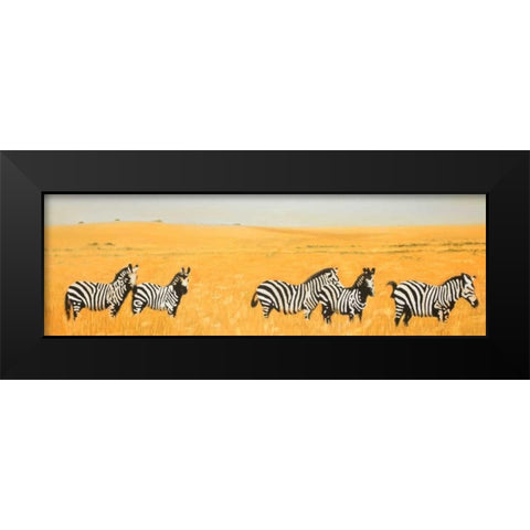 Herd of Zebra Black Modern Wood Framed Art Print by Atelier B Art Studio
