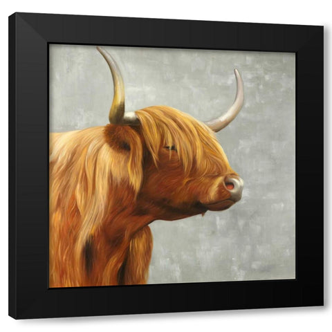 Beautiful Higland Cattle Black Modern Wood Framed Art Print with Double Matting by Atelier B Art Studio