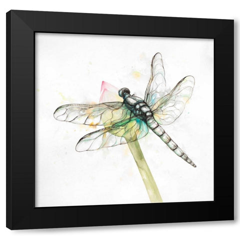 Dragonfly on a Flower Bud Black Modern Wood Framed Art Print with Double Matting by Atelier B Art Studio