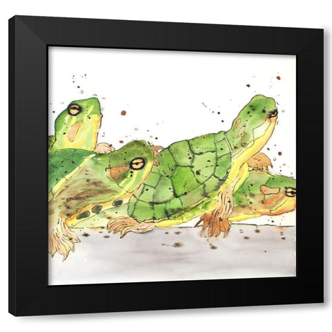 SMALL AQUATIC TURTLES Black Modern Wood Framed Art Print with Double Matting by Atelier B Art Studio