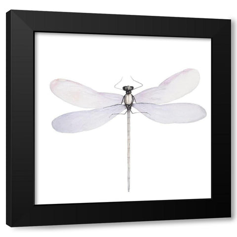 DELICATE DRAGONFLY Black Modern Wood Framed Art Print with Double Matting by Atelier B Art Studio