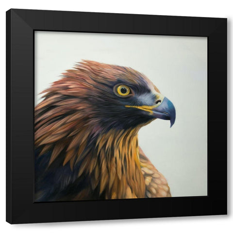 BROWN-HEADED EAGLE Black Modern Wood Framed Art Print with Double Matting by Atelier B Art Studio