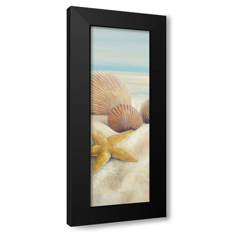 Starfish and Seashells View on the Beach Black Modern Wood Framed Art Print with Double Matting by Atelier B Art Studio