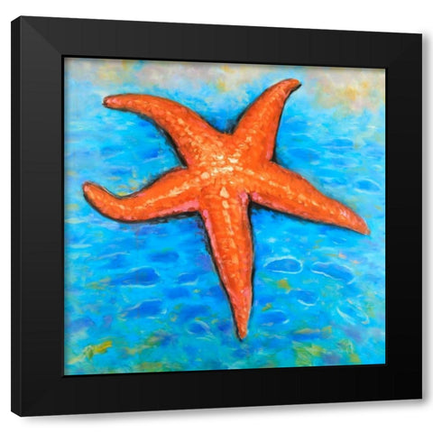 Starfish in the Sea Black Modern Wood Framed Art Print with Double Matting by Atelier B Art Studio