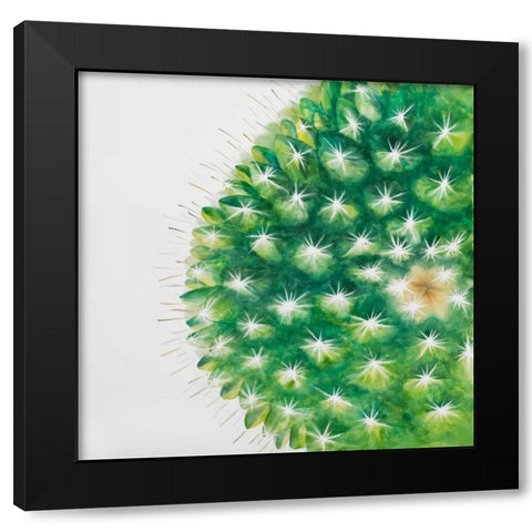 Watercolor Mini Cactus Black Modern Wood Framed Art Print with Double Matting by Atelier B Art Studio