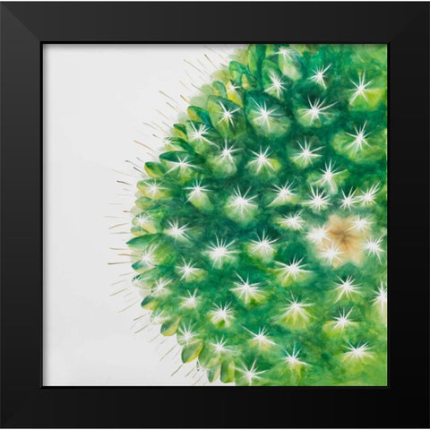 Watercolor Mini Cactus Black Modern Wood Framed Art Print by Atelier B Art Studio