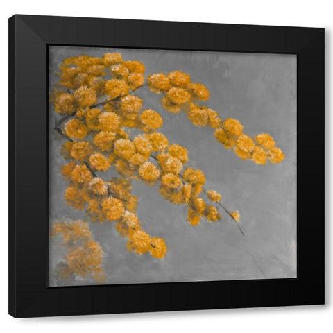Golden Wattle Plant with Flowers Black Modern Wood Framed Art Print with Double Matting by Atelier B Art Studio