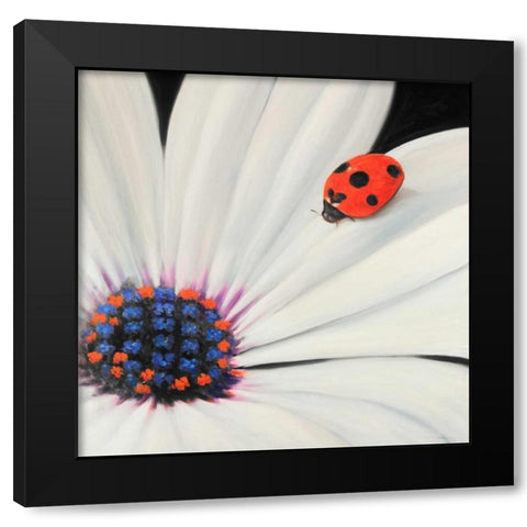 White Daisy and Ladybug Black Modern Wood Framed Art Print with Double Matting by Atelier B Art Studio