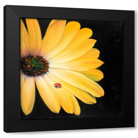 Yellow Daisy and Ladybug Black Modern Wood Framed Art Print with Double Matting by Atelier B Art Studio