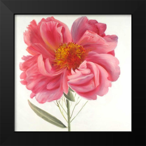 Pink Peony Flower Black Modern Wood Framed Art Print by Atelier B Art Studio