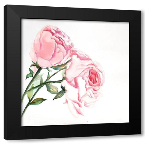 Watercolor Pink Roses Black Modern Wood Framed Art Print with Double Matting by Atelier B Art Studio