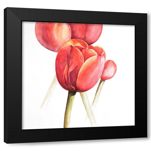 BLOSSOMING TULIPS CLOSEUP Black Modern Wood Framed Art Print by Atelier B Art Studio