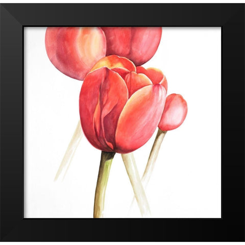 BLOSSOMING TULIPS CLOSEUP Black Modern Wood Framed Art Print by Atelier B Art Studio