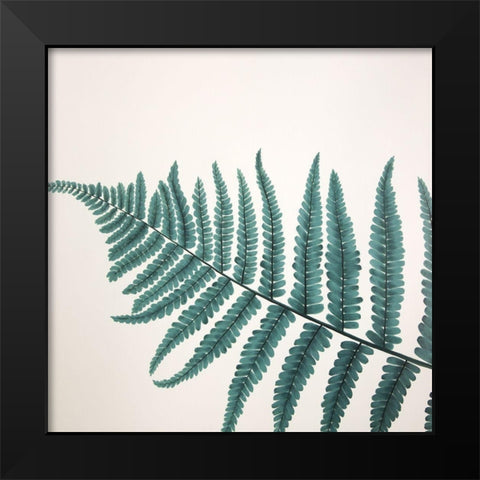 BEAUTIFUL FERN Black Modern Wood Framed Art Print by Atelier B Art Studio