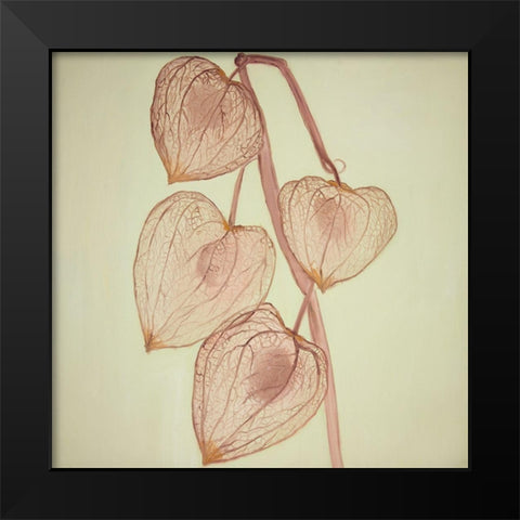 GROWING GROUND CHERRIES Black Modern Wood Framed Art Print by Atelier B Art Studio